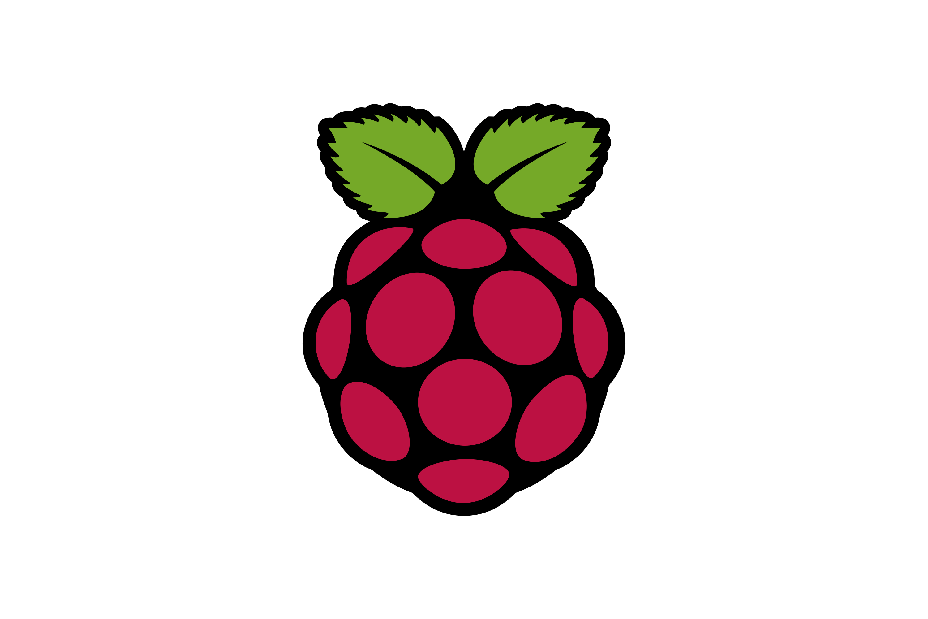 Raspberry Pi Logo